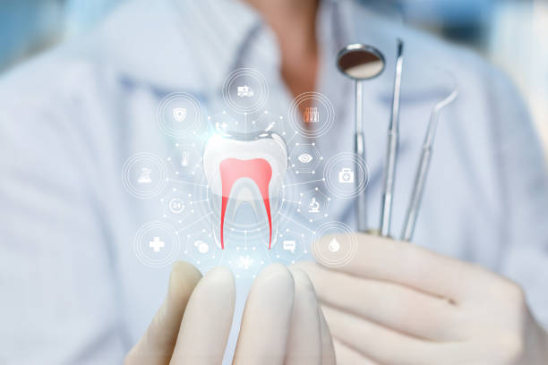 Best Full Mouth Reconstruction  in Dawson, MN